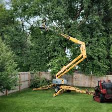 Best Leaf Removal  in East Bakersfield, CA
